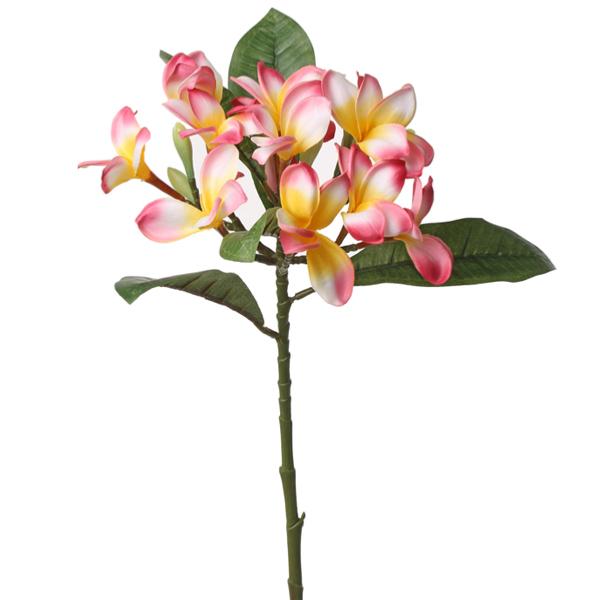 Frangipanier artificiel Rose et jaune en branche fleurie H 73 cm superbe du  site Artificielles.com.