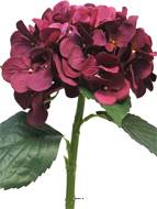 Hortensia artificiel en branche, H 48 cm Rose fushia - BEST