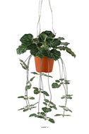 Saxifrage artificiel retombant en pot suspendu, L 35 cm, D 23 cm