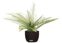 Fougère Dicranopteris linearis artificielle en pot H 30 cm, D 40 cm