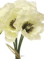 Bouquet de Pavot artificiel, H 29 cm Crème - BEST
