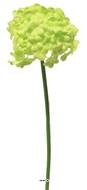 Fleurs de Viorne artificielles en tige, H 30 cm Vert - BEST