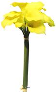 Bouquet d’Arum Calla artificiel, 12 têtes, H 45 cm Jaune - BEST