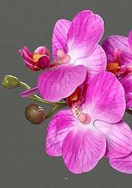 Orchidée phalaenopsis artificielle en coupe céramique H 25 cm Lavande
