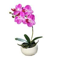 Orchidée phalaenopsis artificielle en coupe céramique H 25 cm Lavande