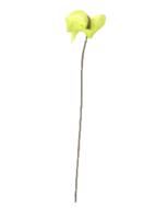 Anthurium artificiel H 67 cm Vert-jaune