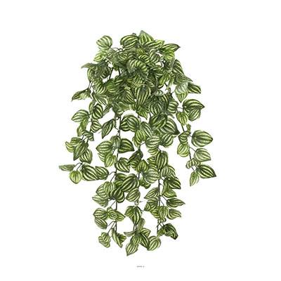 Chute d'Aphelandra artificielle, ou plante zèbre L 45 cm vert-blanc