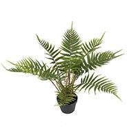 Fougère arborescente des forêts artificielle en pot H 50 cm D 65 cm