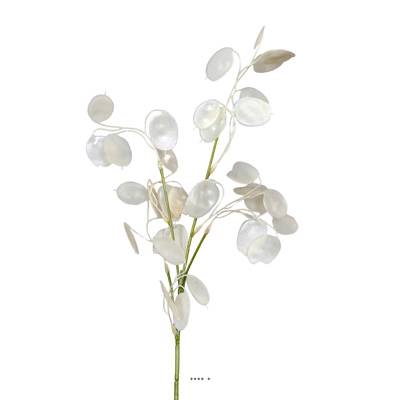 Branche de la monnaie du pape artificielle H 65 cm