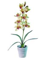 Grande orchidée artificielle en pot H 68 cm  Jaune-rouge