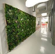 Plaque de feuillage artificiel pour mur végétal extérieur 100 x 100 cm