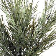 Podocarpus artificiel en piquet pour l'extérieur H 45 cm