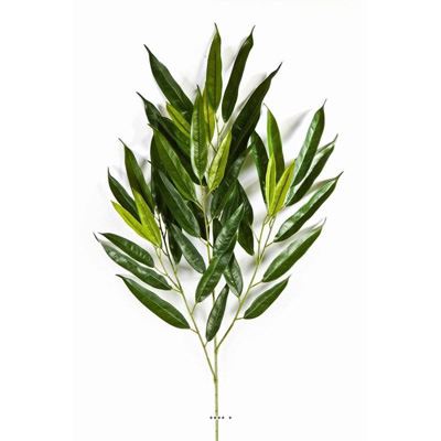 Superbe branche de longifolia royal artificiel L 83 cm