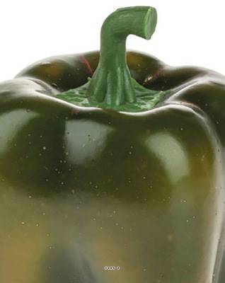 Poivron factice vert plastique soufflé taille réelle H 9,5 x D 8 cm