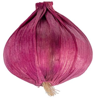 Tete d'ail artificielle D 5,5 cm et H 6,5 cm environ ail violet
