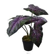 Caladium artificiel en pot H 35 cm D 30 cm Grandes feuilles tissu vert rose