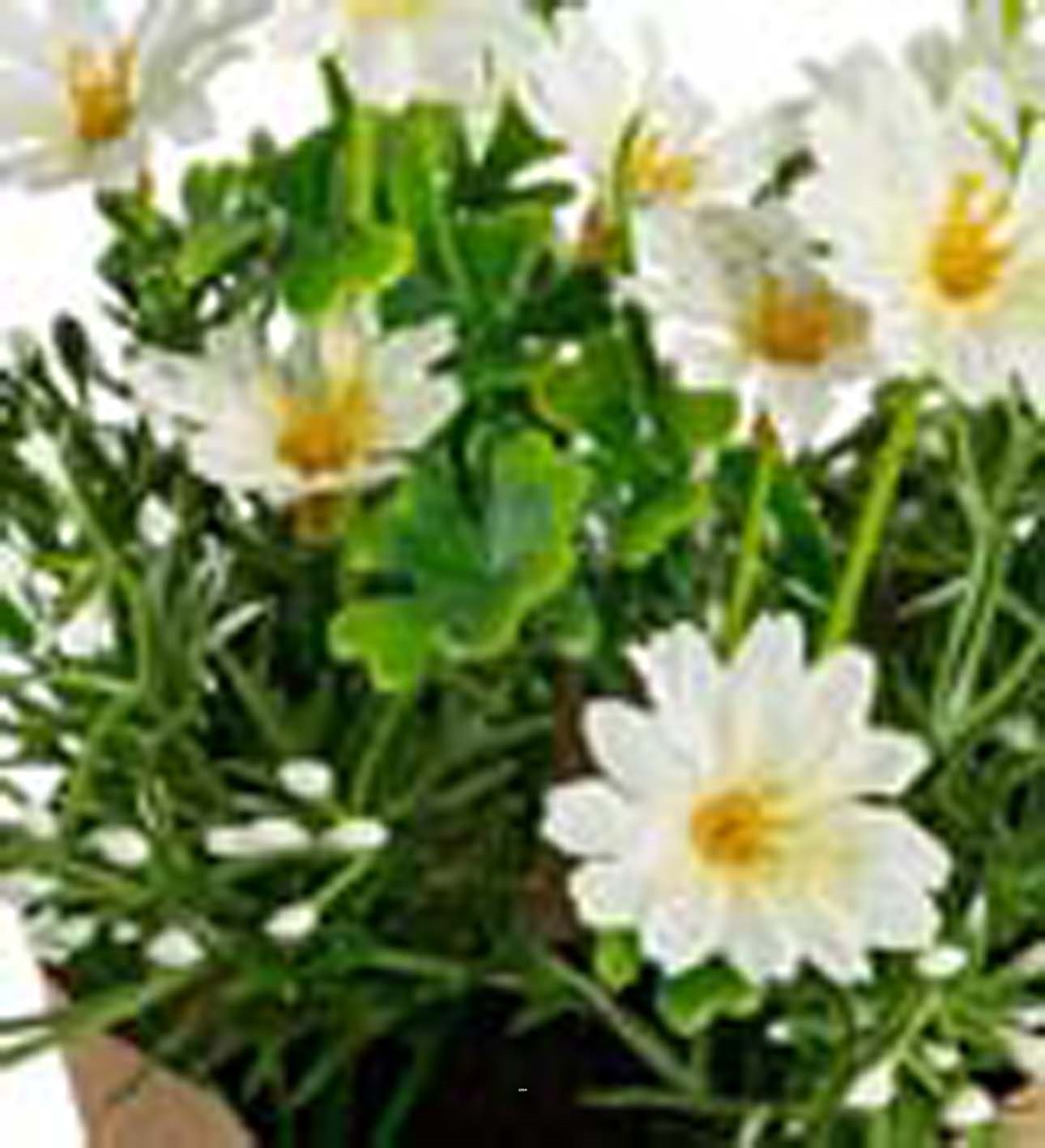 Marguerite factice en pot H 20 cm D 15 cm