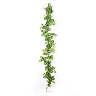 Guirlande de syngonium Nepthytis artificiel Ramifiée L180 cm en Tissu