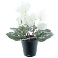 Cyclamen artificiel en pot 8 têtes H 24 cm Blanc jaune