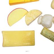Assortiment de Fromages factices X 10 en Plastique soufflé L 55-160 mm