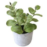 Herbe aromatique artificielle Menthe H 17 cm, D 11cm pot Béton