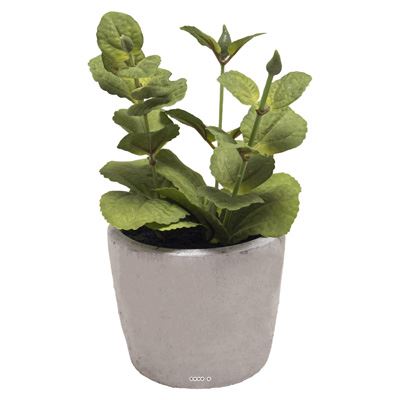 Herbe aromatique artificielle Menthe H 17 cm, D 11cm pot Béton