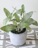 Herbe aromatique artificielle Sauge H 26cm