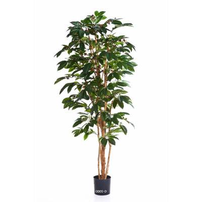 Cafeier artificiel H 150 cm 471 feuilles fleurs et grains en pot