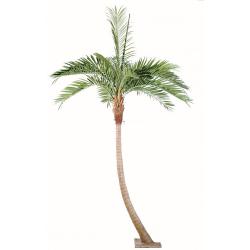 Palmier Coco artificiel H 270 cm 10 palmes sur platine