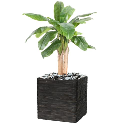 Bananier artificiel en pot 3 Troncs naturel H 132 cm Vert