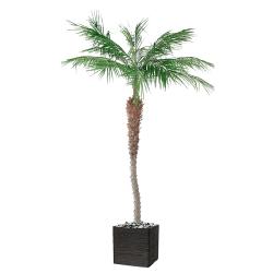 Palmier Phoenix Artificiel H 240 cm 1 tronc en pot > Dispo en semaine 45 (2020)