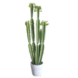 Euphorbe Trigona Succulent plante artificielle en pot Beton Mousse PU H 100 cm Vert