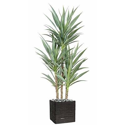 Yucca artificiel multitroncs en pot H 150 cm feuillage plastique