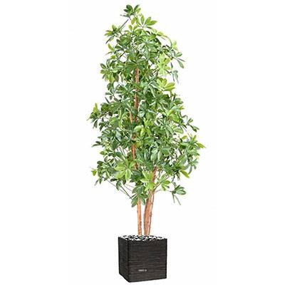 Choisya artificiel en pot anti-UV extérieur H 150 cm L 65 cm