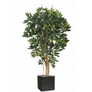 Superbe schefflera artificiel en pot multitroncs vert H 150 cm Vert