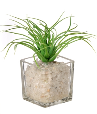 Herbe artificielle succulente cactée en pot verre et cailloux blanc