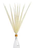 Corail en piquets X12 Blanc H 52 cm plastique superbe en bouquet