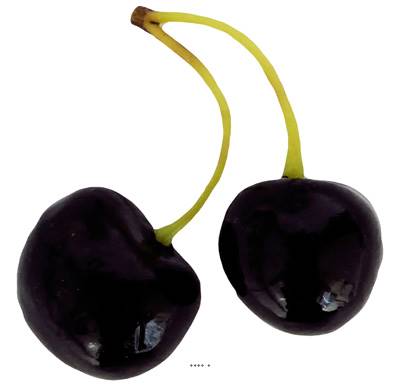 Cerise Burlat artificielle Par paire H 75 mm Superbe et rare