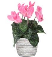 Cyclamen artificiel en pot H 20 cm D 15 cm qualité top Rose soutenu