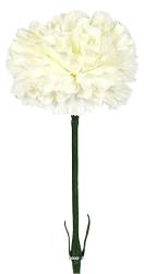 Oeillet artificiel H 55 cm superbe tte tissu D 8,50 cm Crme