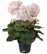 Géranium factice Rose pâle 6 têtes en pot lesté H35cm belles feuilles