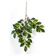 Branche de feuillage Ficus artificiel H 48 cm 64 feuilles vertes