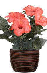 Hibiscus artificiel en pot H 38 cm 6 têtes rouge