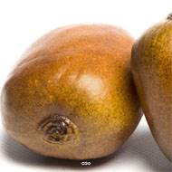 Kiwi artificiel en lot de 2 en Plastique soufflé D 65x70 mm