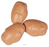 Pomme de terre artificielle Petite X 3 Plastique soufflé L 75x45 mm