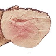 Tranches de rosbeef roti en lot de 2 en Plastique soufflé L 130x100 mm