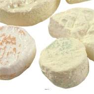 Assortiment de Fromages Français X 6 en Plastique soufflé L 55-150 mm