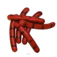 Saucisse Knack artificielle cuite X 6 en Plastique soufflé L 165x25 mm