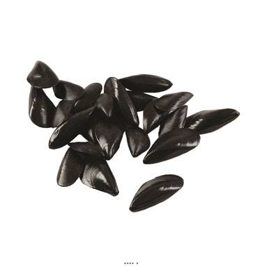 Moules artificielles assorties X 24 en Plastique soufflé L 70-90 mm