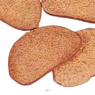 Tranches de pain complet artificiel x4 en Plastique soufflé L 90x40 mm